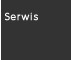 serwis